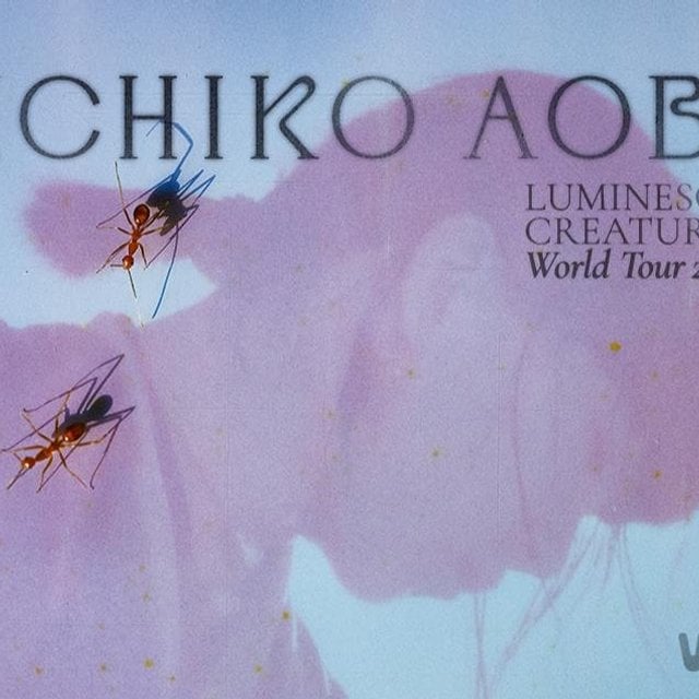  Ichiko Aoba - Ao Vivo em São Paulo 2025 - Review