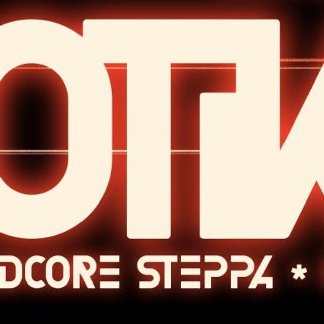 ROOTIKAL - Dub Hitek * Hardcore Steppa * Heavy Dubplates 2025 - Review