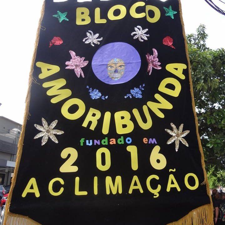 Carnaval 2025 Bloco Amoribunda Kids