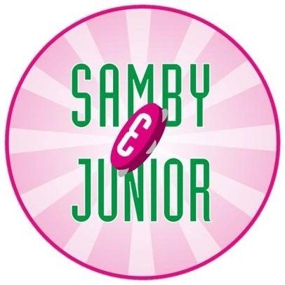 Carnaval 2025 Bloco Samby & Junior