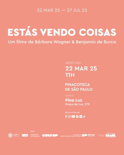 Estás vendo coisas – Bárbara Wagner e Benjamin de Burca 